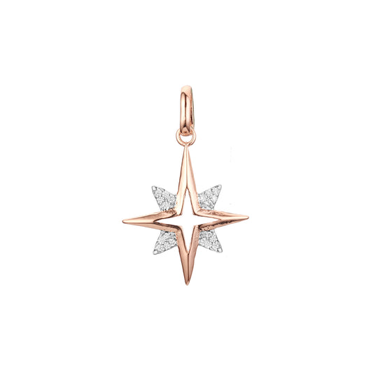 Anh?nger aus Ros¨¦gold, zweifarbig plattiert