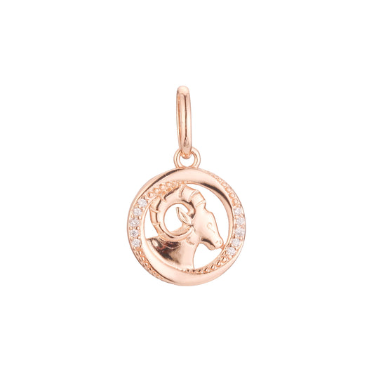 Colgante bicolor de oro rosa con constelación del zodiaco - Signo retrato
