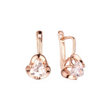 .Pendientes de circonita blanca con solitario con garras de oro rosa